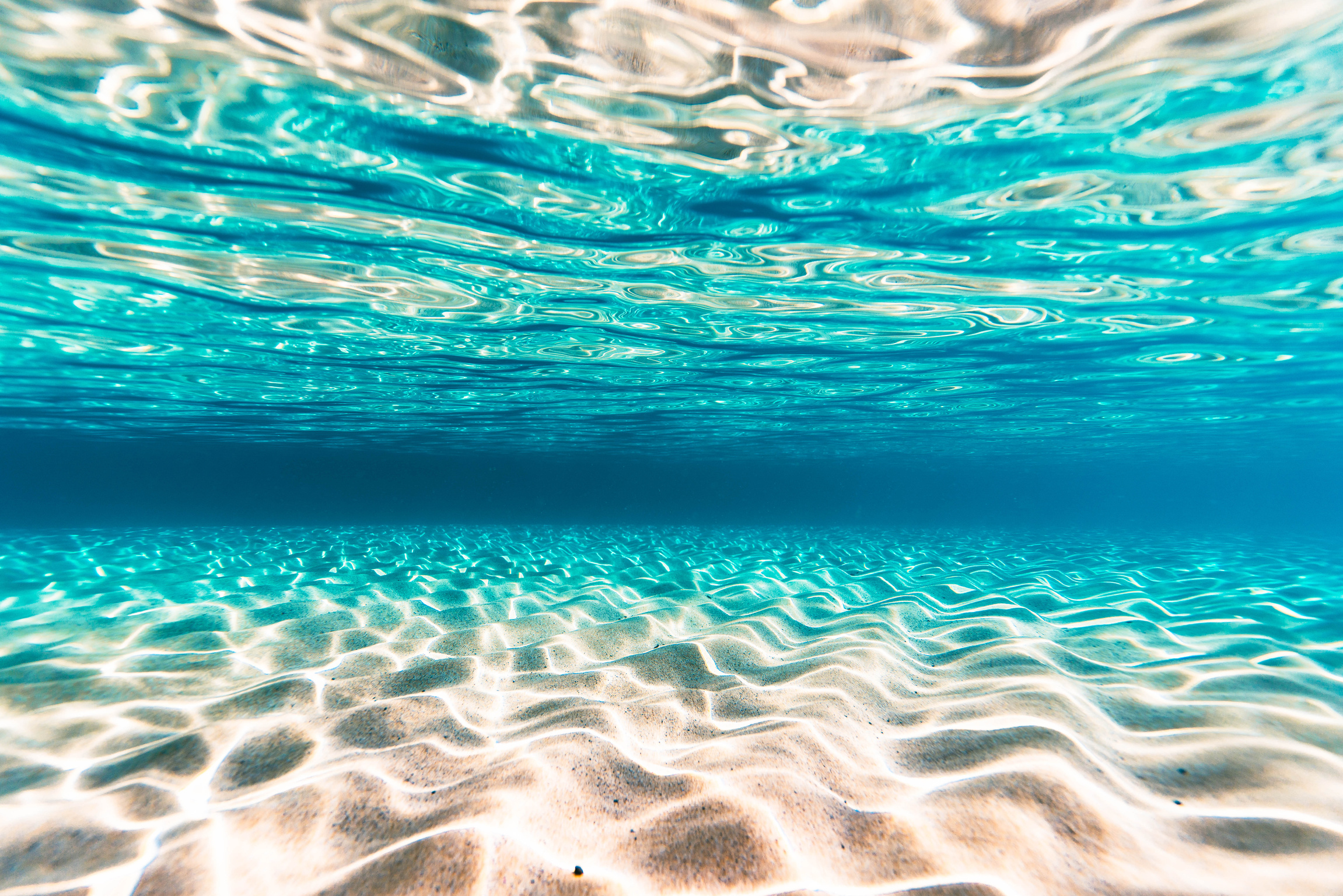 Brown Sand Under the Sea